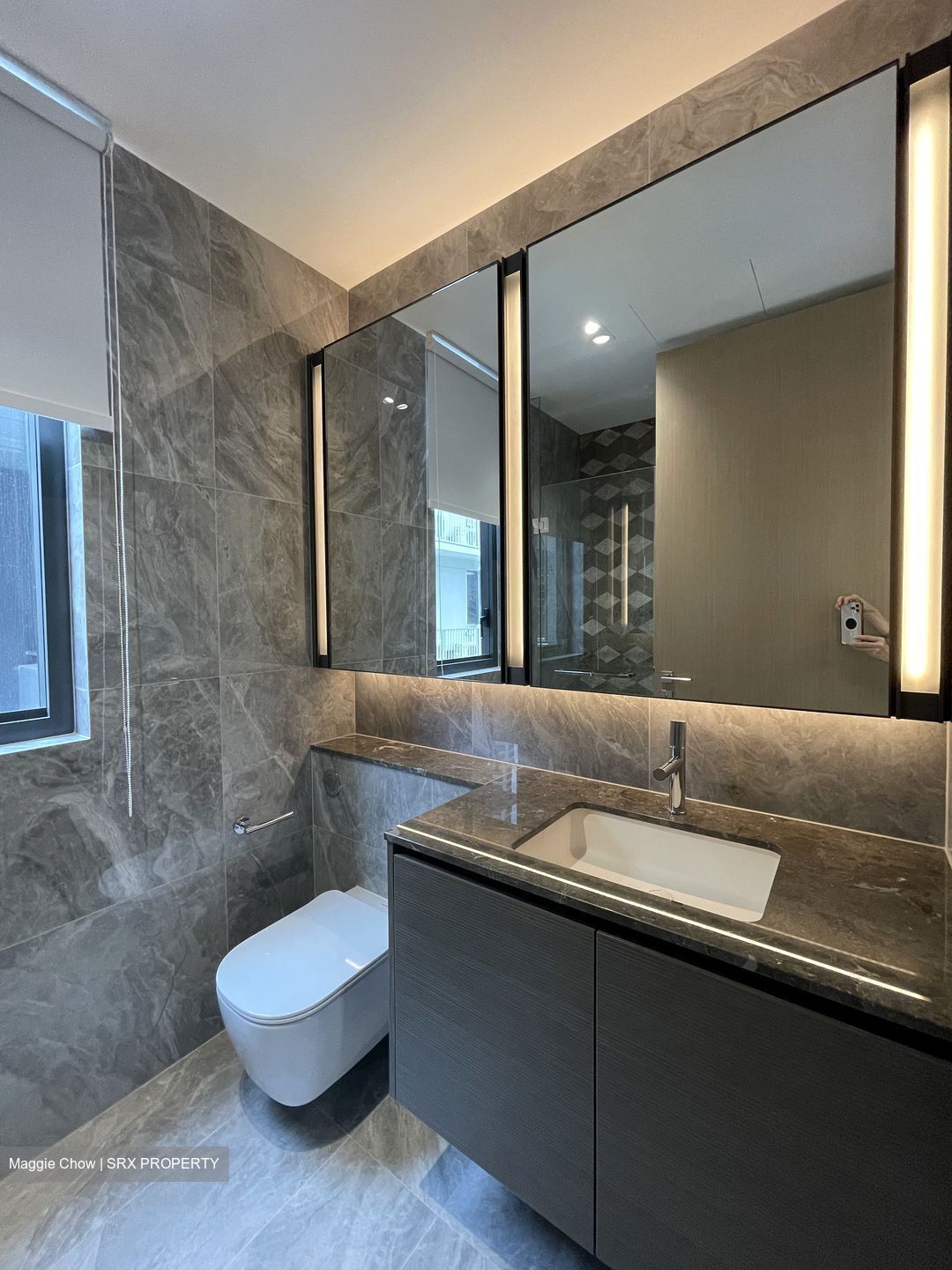 Leedon Green (D10), Condominium #432216631